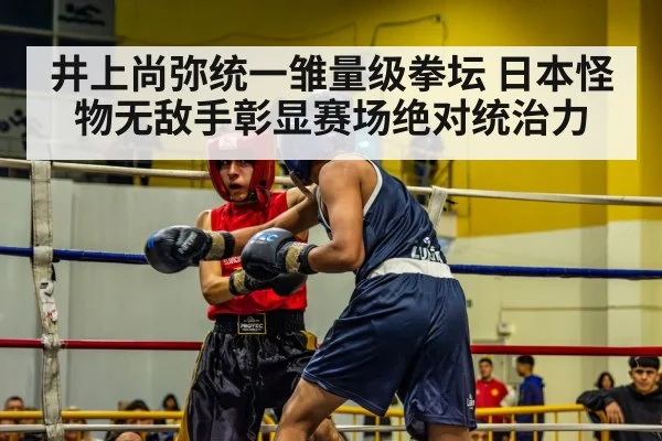 井上尚弥统一雏量级拳坛 日本怪物无敌手彰显赛场绝对统治力